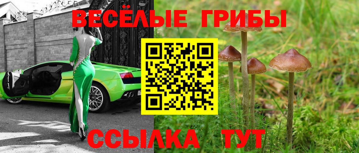 Галлюциногенные грибы MAGIC MUSHROOMS Кашира